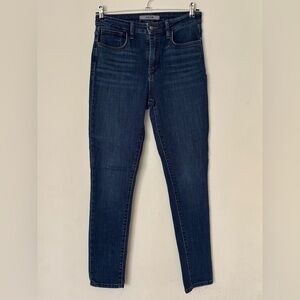 Joe's Jeans Blue Skinny Denim